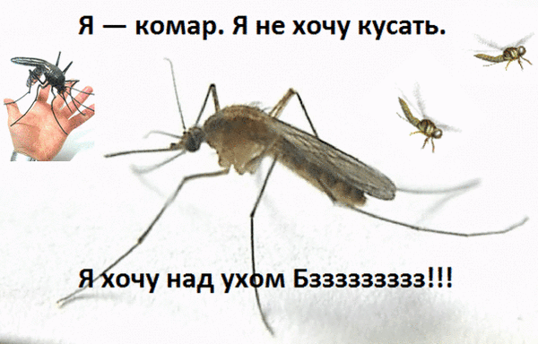 Мысли "всё зря" как навязчивые комары. Им нельзя верить, их нужно уничтожать