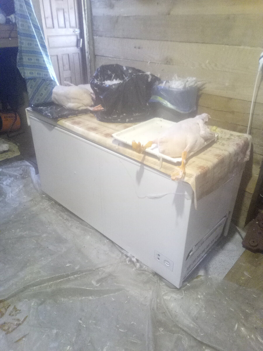 Рабочее место гусощипа