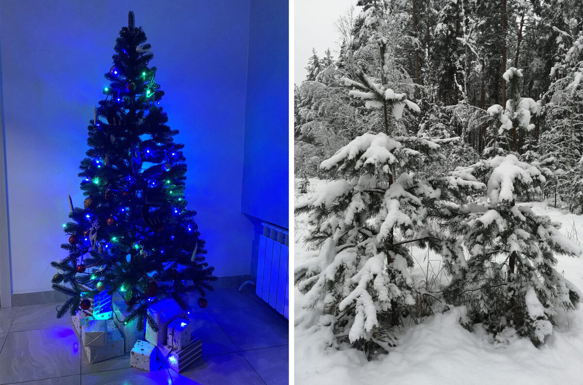 Самые разные елочки к Новому году