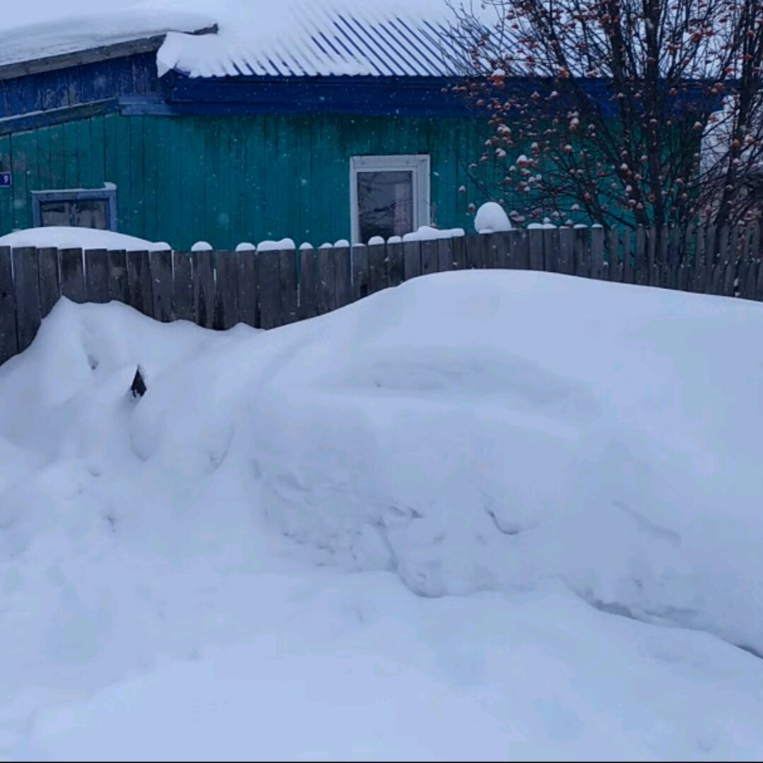 Моя усадьба