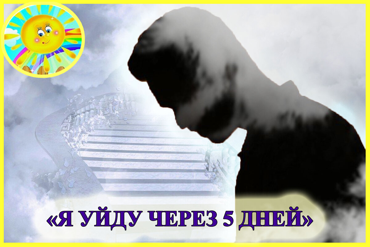 Личный архив