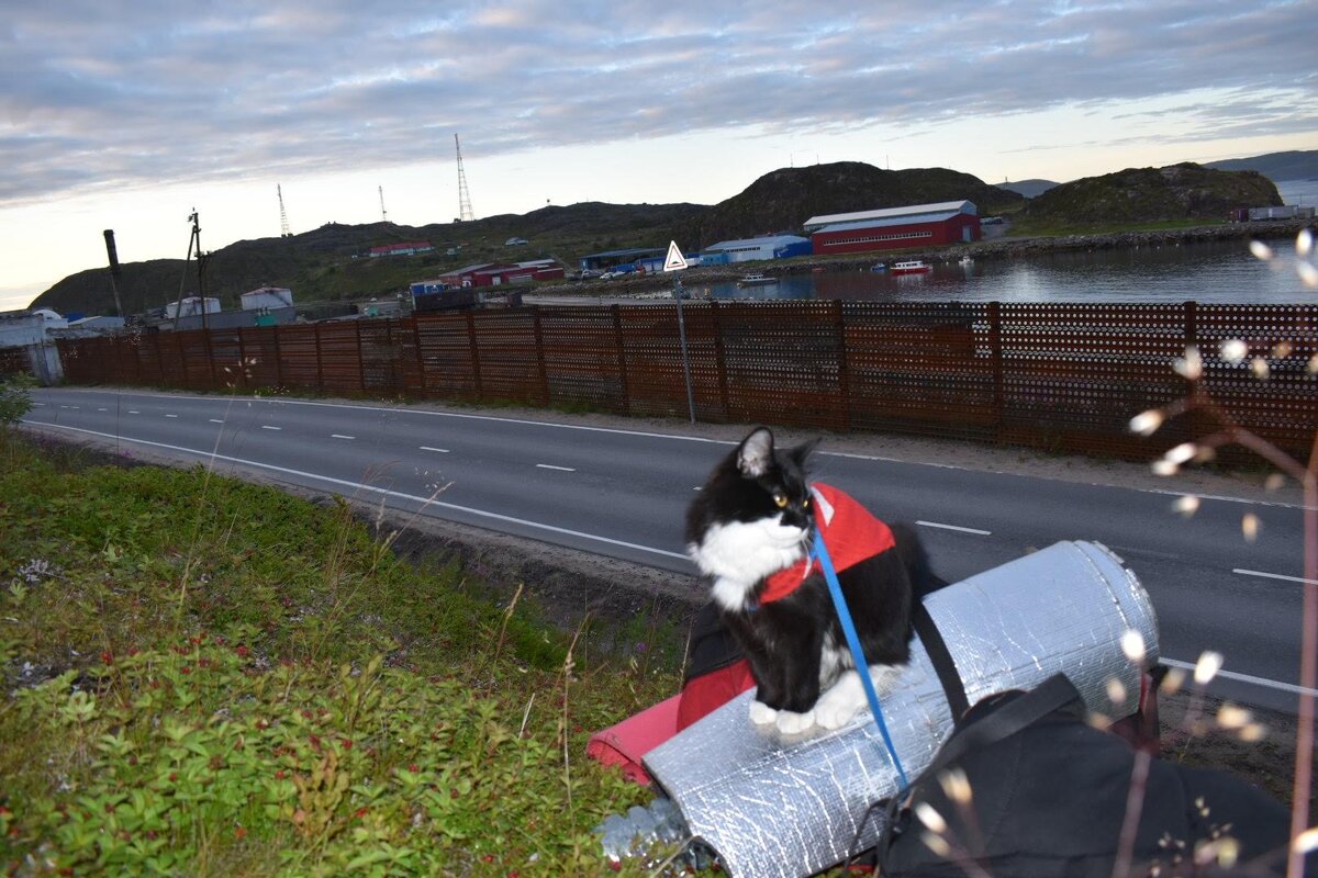 Киренька в Териберке