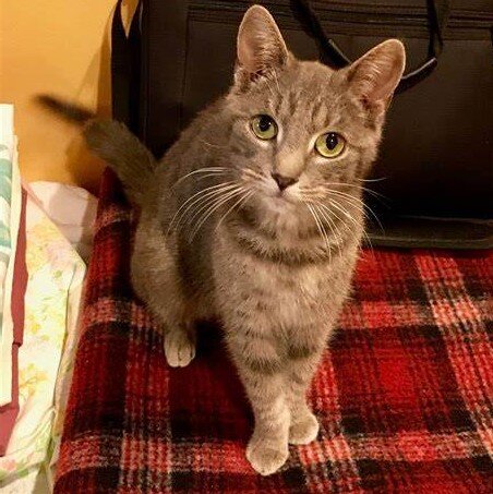 Фото из Интернета