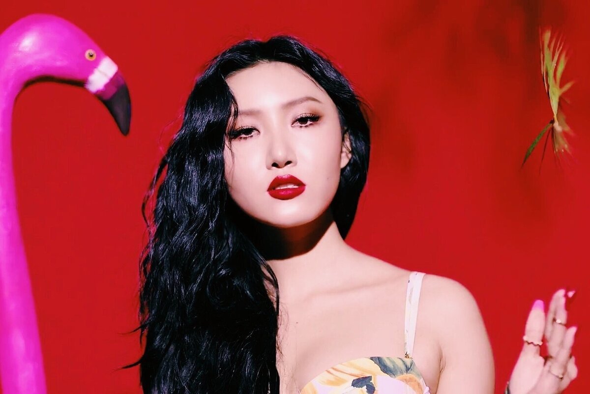 Хваса новая песня. Mamamoo hwasa. Mamamoo solar star sun wind flower. Хваса новая песня. Mamamoo hwasa.