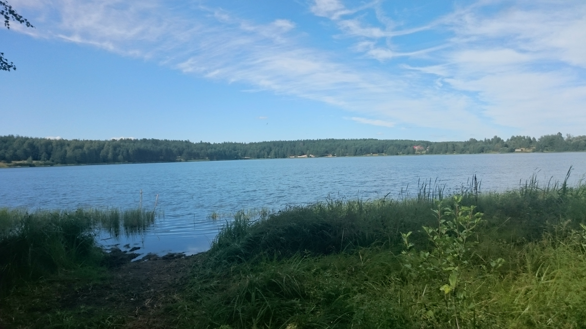 речка Шола.