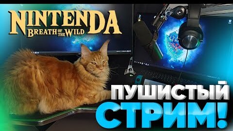 #3 проходим  The legend of Zelda breath of the wild ищем секреты, тренируем боёвку