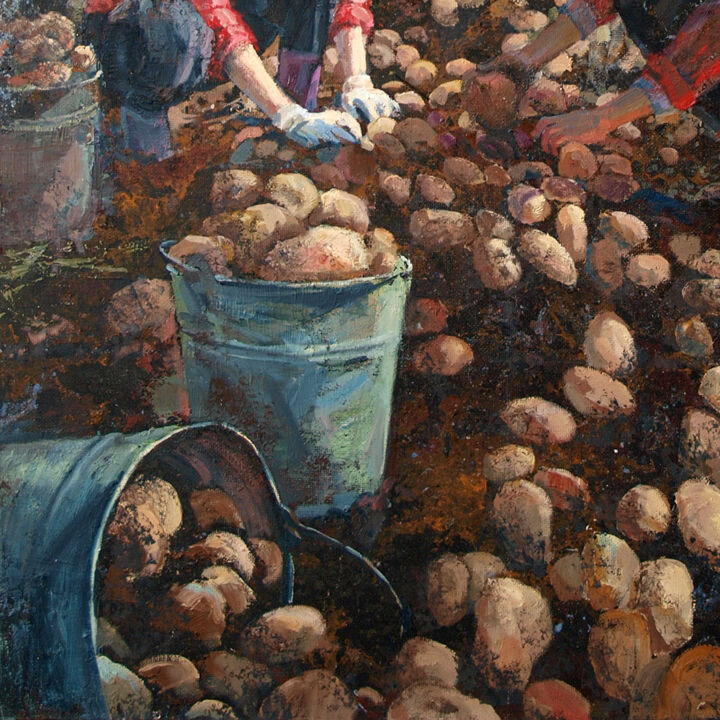 Фото взято в свободном доступе Яндекс картинки.