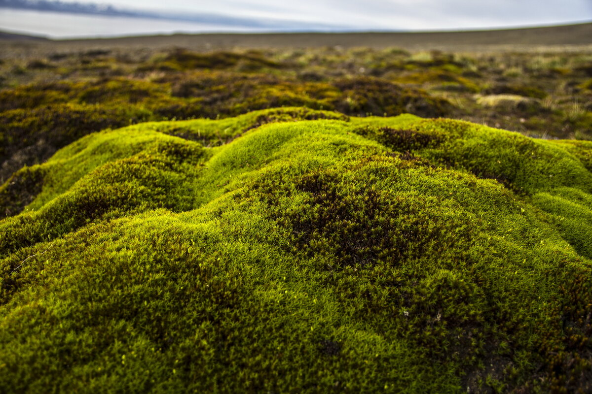 Фото: Александра Кузнецова / GeoPhoto