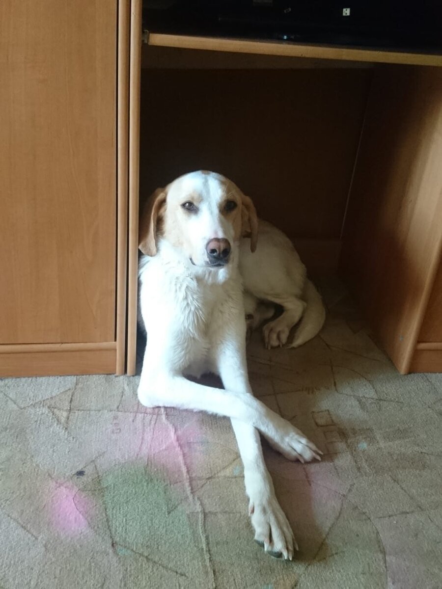 Дома
