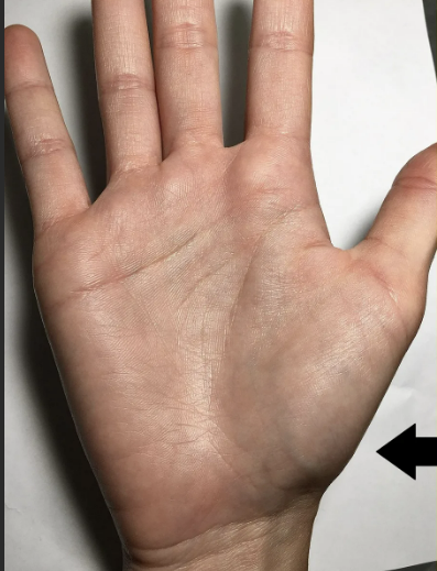 Плоский холм Нептуга