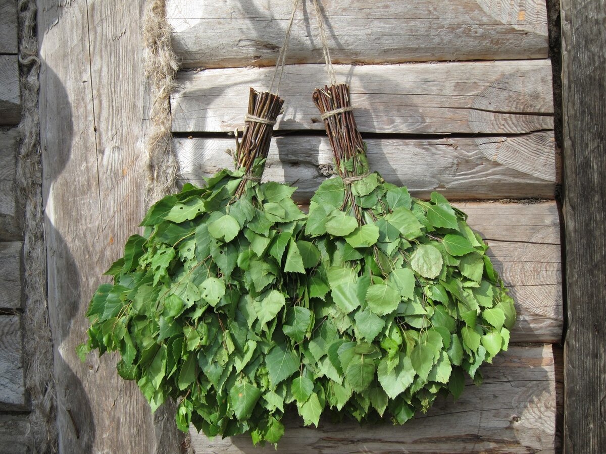 Березовый веник для суставов