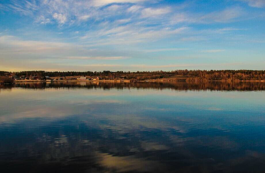    Фото: Кира Никитина/pixabay.com