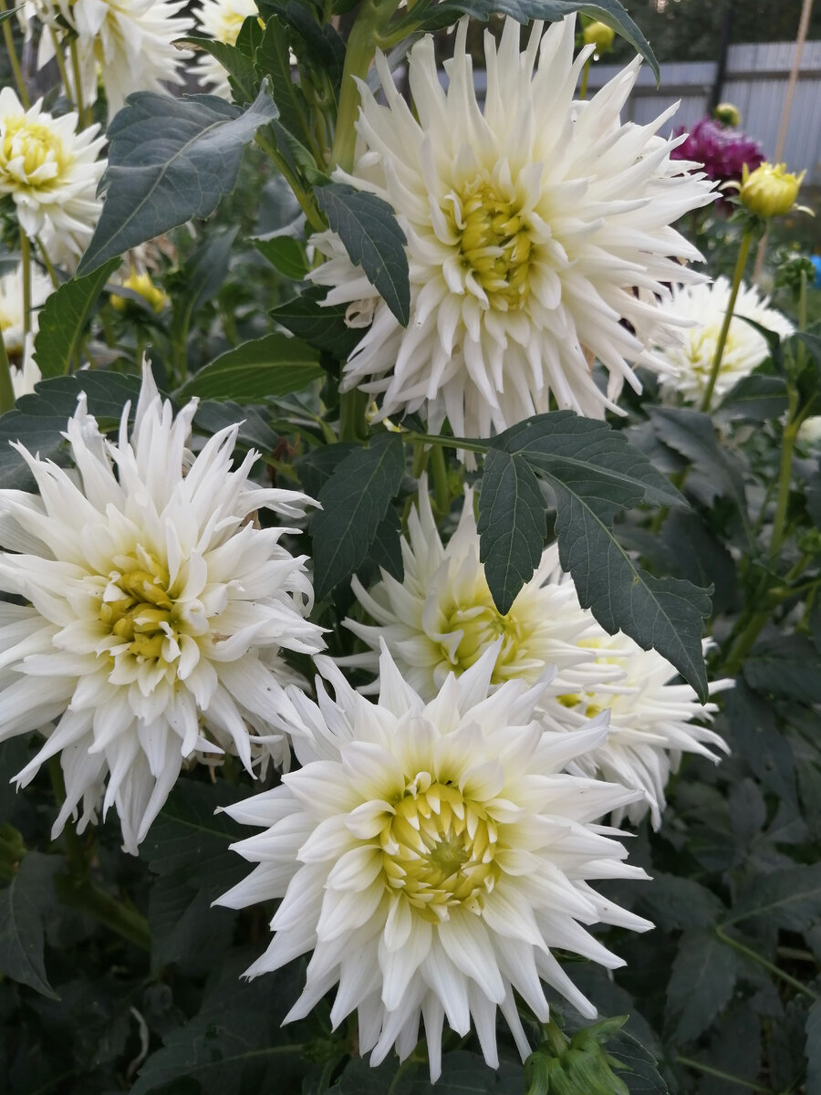 Фото канала Вечный выходной 