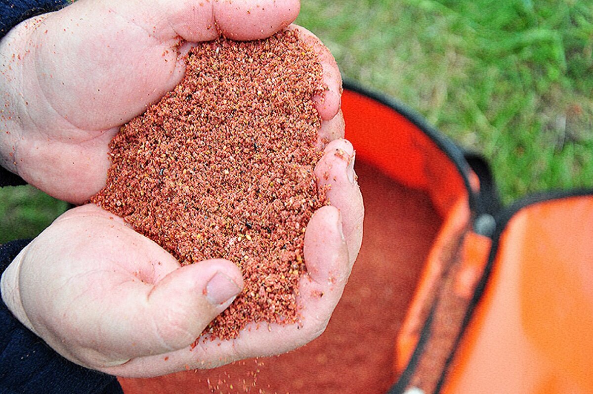 Фото с сайта: https://avatars.dzeninfra.ru