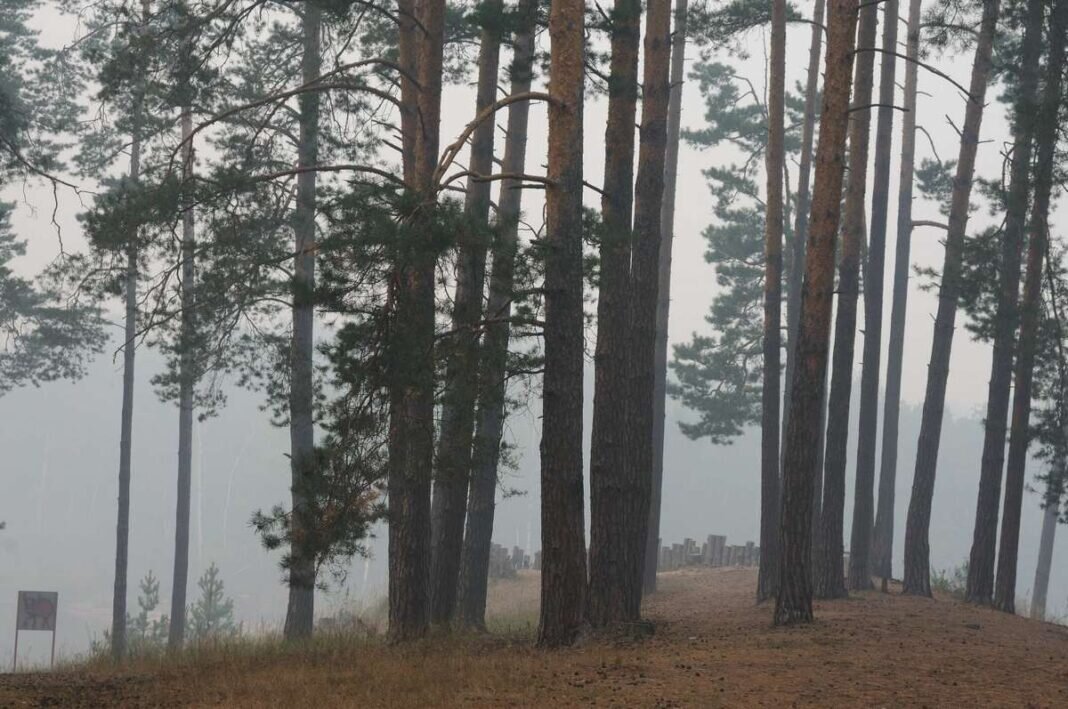    Фото Марины Горянцевой, пресс-служба заповедника