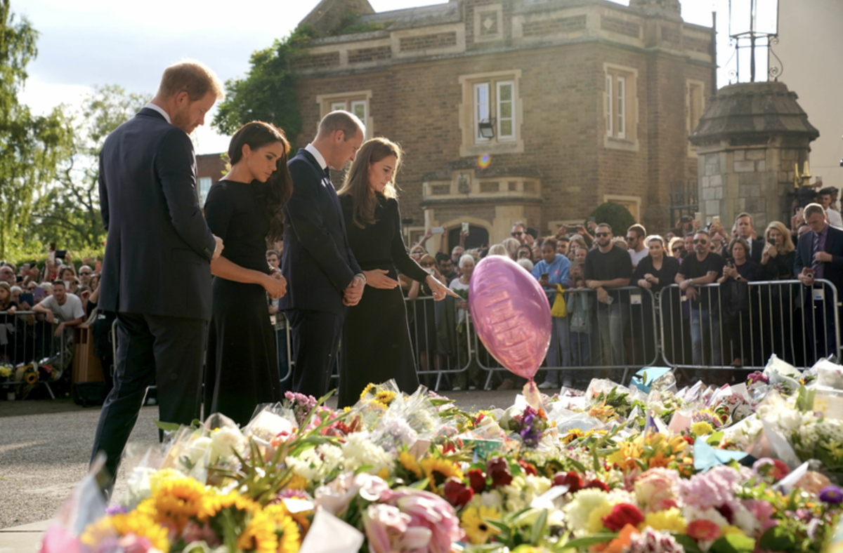 фото из открытых источников в интернет