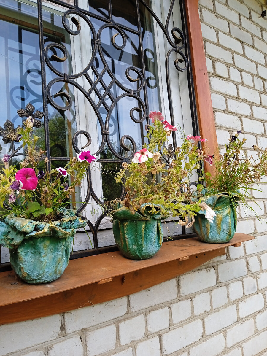 Стоят  горшочки уже 3 года. 