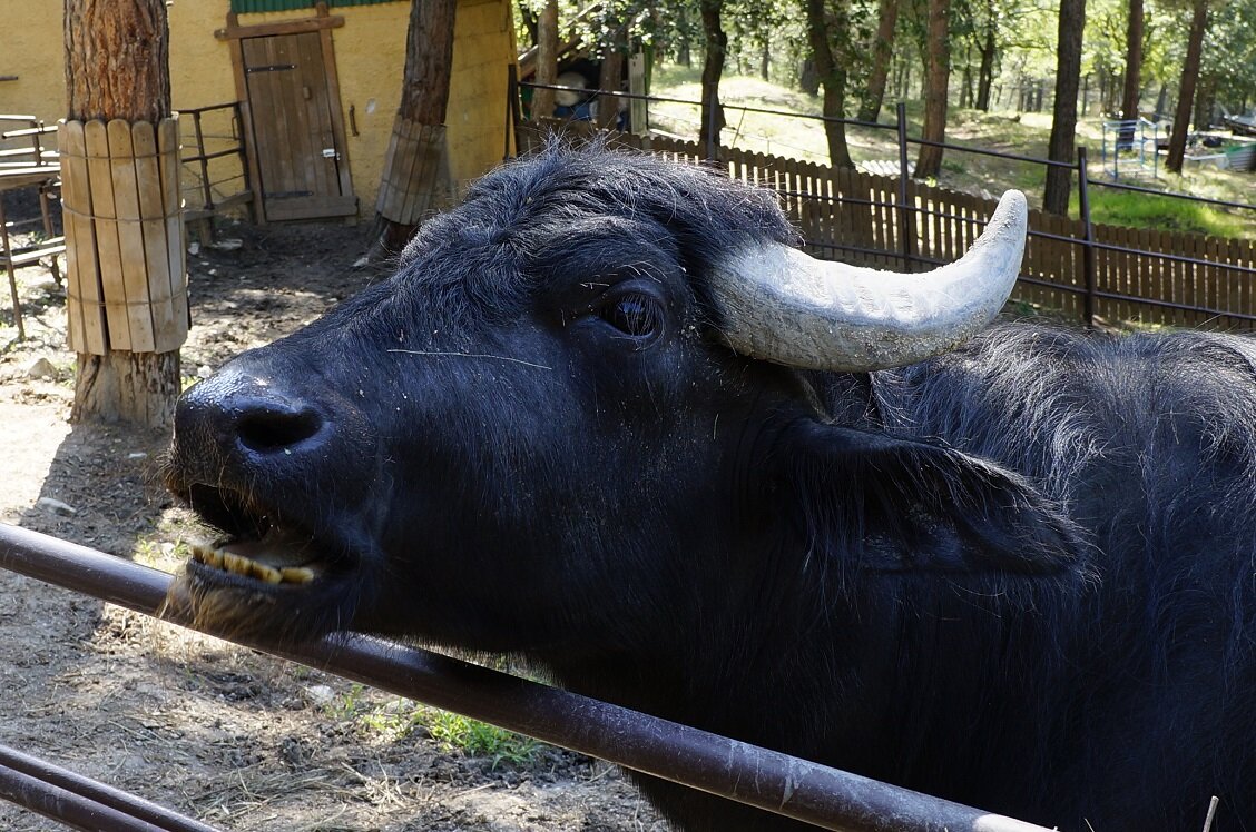 и невозможное возможно! 