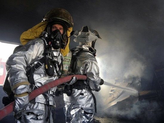     фото: pixabay.com