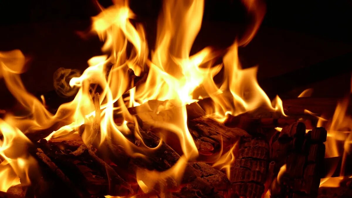 Фото: Pexels.com