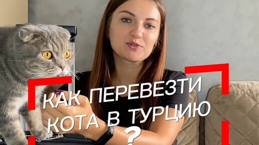 Ты нравишься маме кошкина. Кошкина мама. Мать Кошкиной.