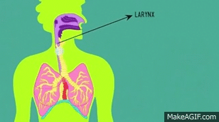 Анимация "как выдыхаются рвотные массы"