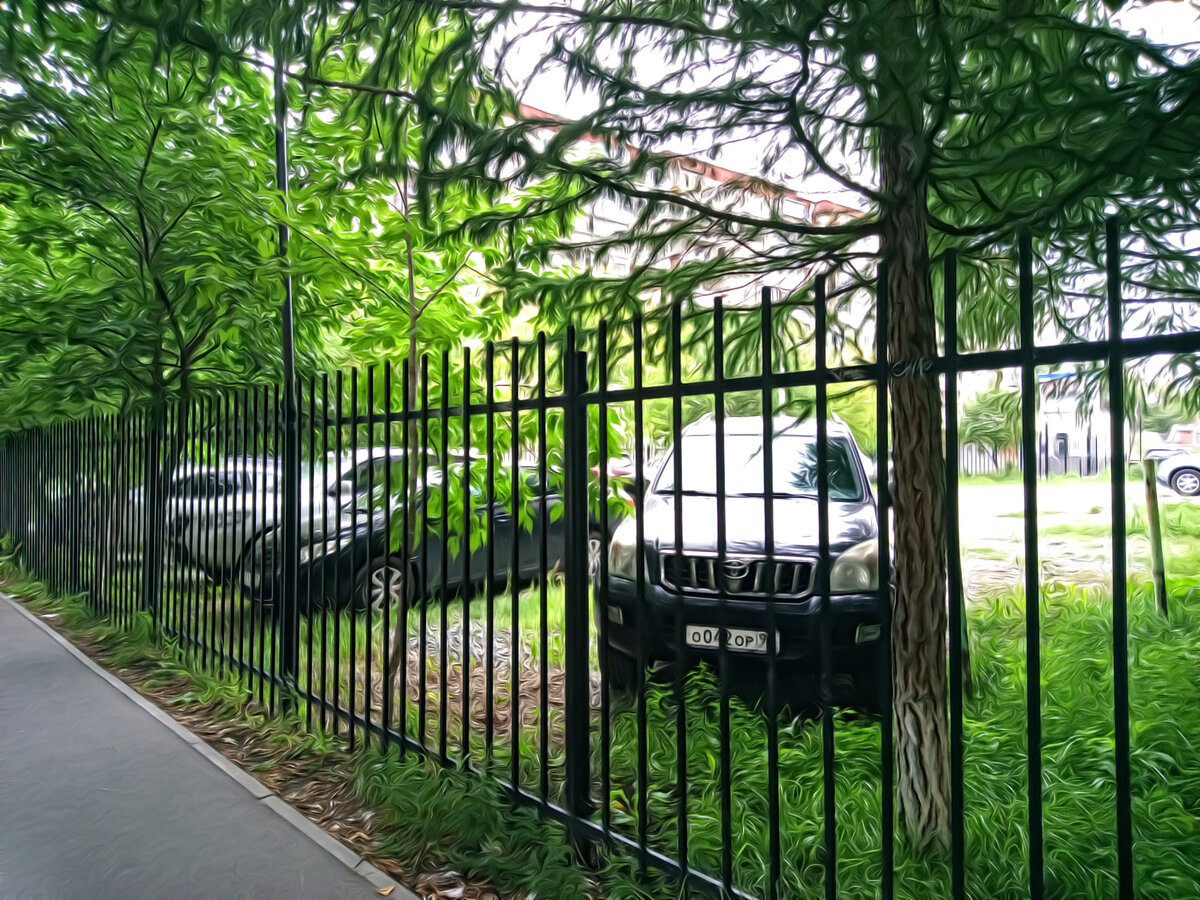 Рассказ «Сердце знает больше»