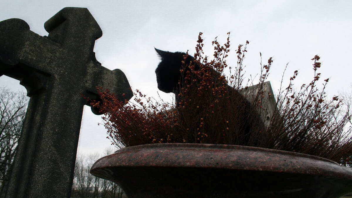 источник фото: i.pinimg.com