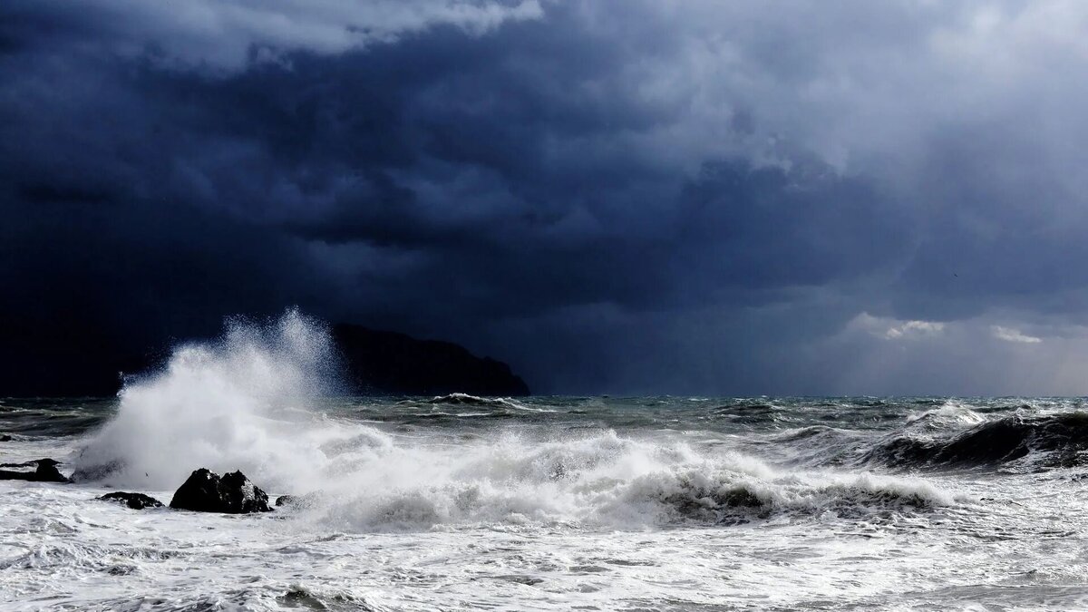 Яндекс. Картинки.