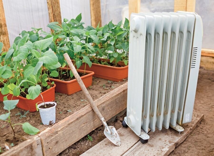 А как вы прогреваете свою теплицу? Поделитесь своим опытом в комментариях ниже 👇