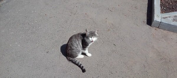 "Что такое, чем я не подхожу?"