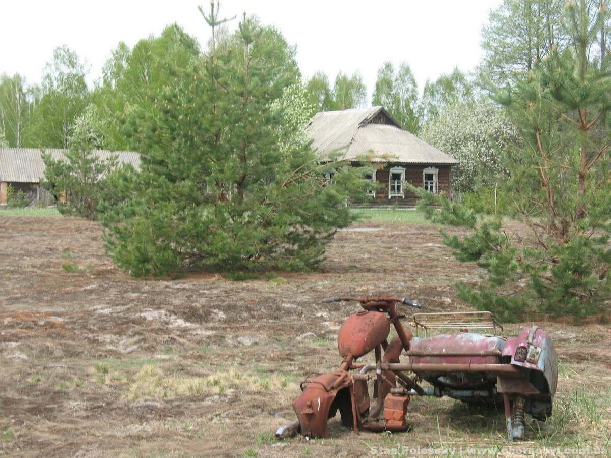 Чернобыльскую зону хотят заселить. Ученые готовятся к большим проверкам