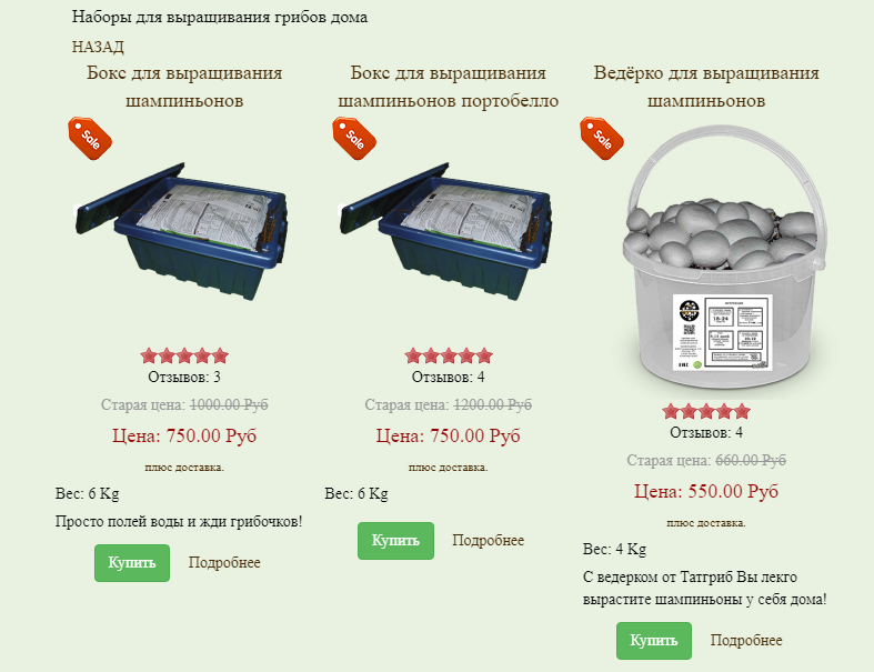 Бизнес план по выращиванию шампиньонов с расчетами
