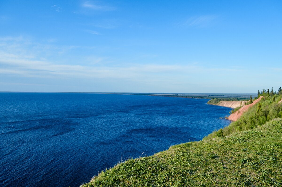 Фото Виктории Бородиновой с Pixabay