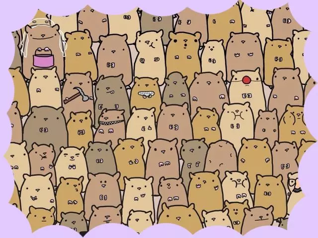 Картинка взята из общего доступа