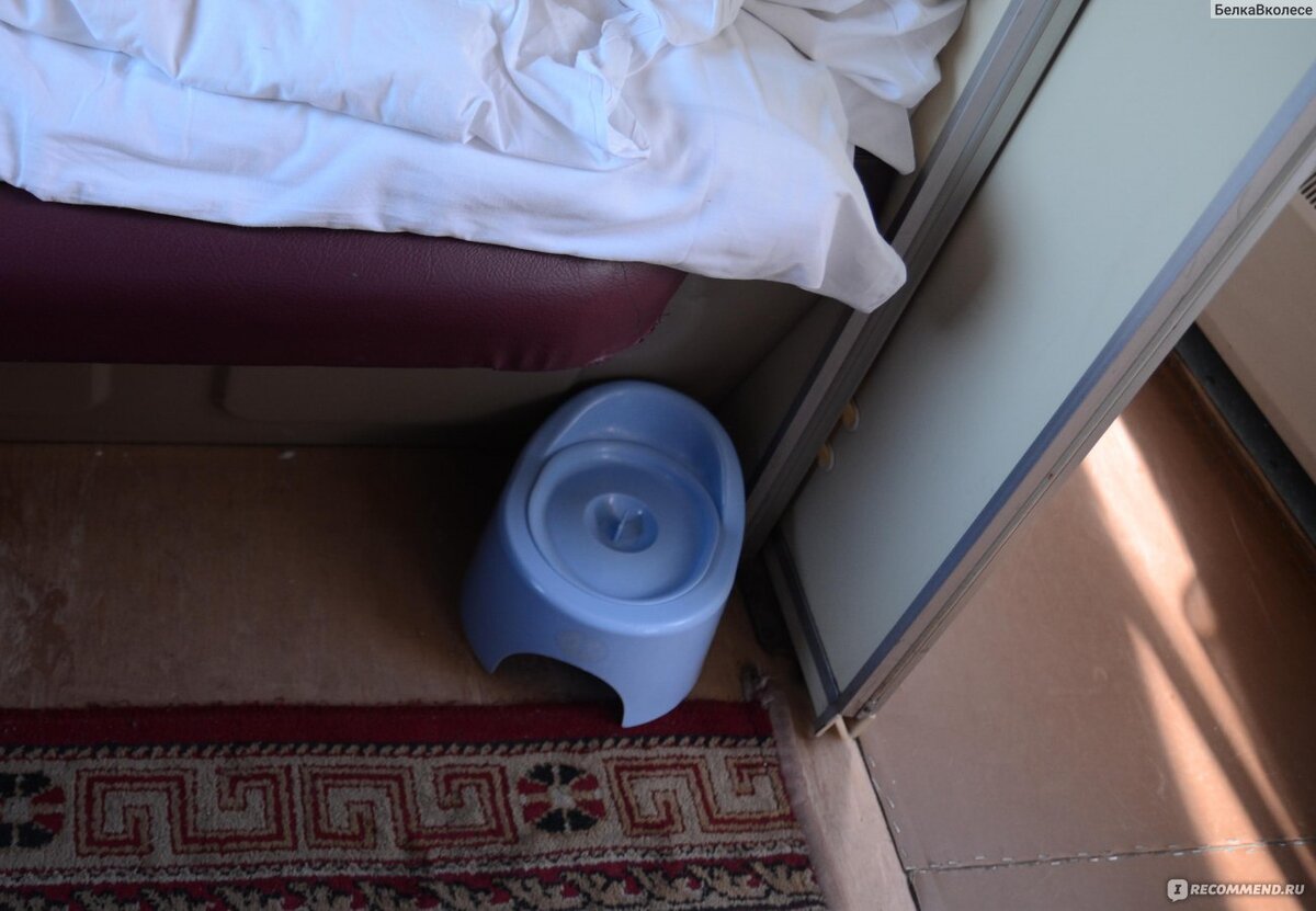 фото из Яндекс картинки для иллюстрации