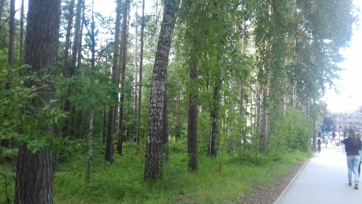 Академгородок.Морской бульвар.