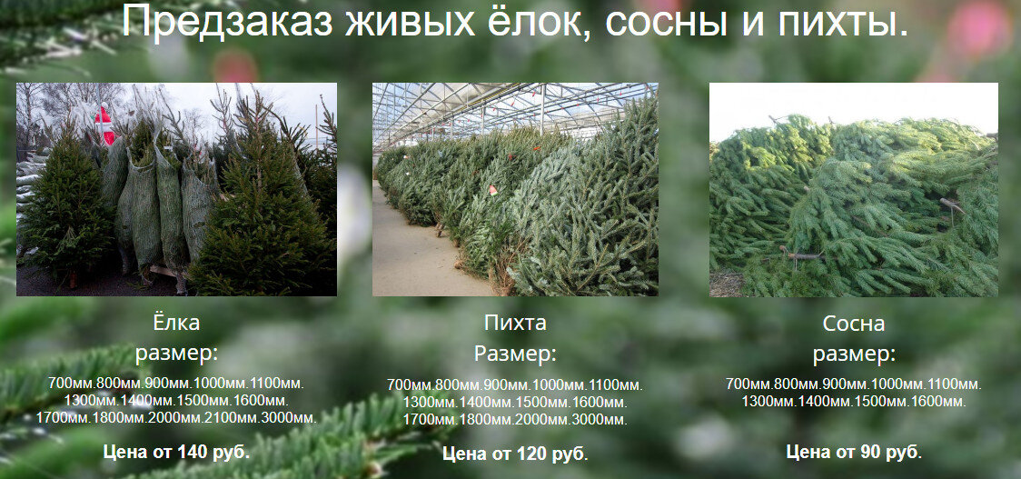 Скриншот елочного сайта