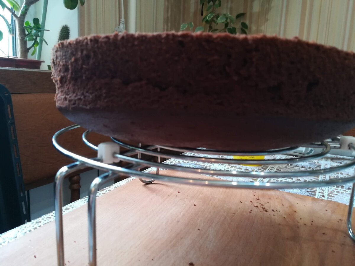 Людмила Немлиенко