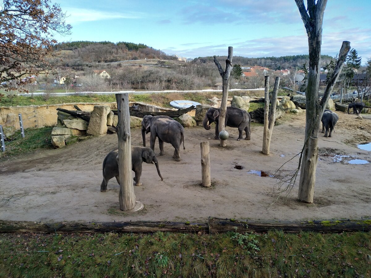 пражский зоопарк