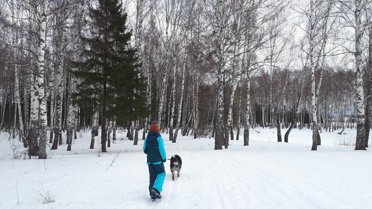 Вот такие у нас зимние прогулки