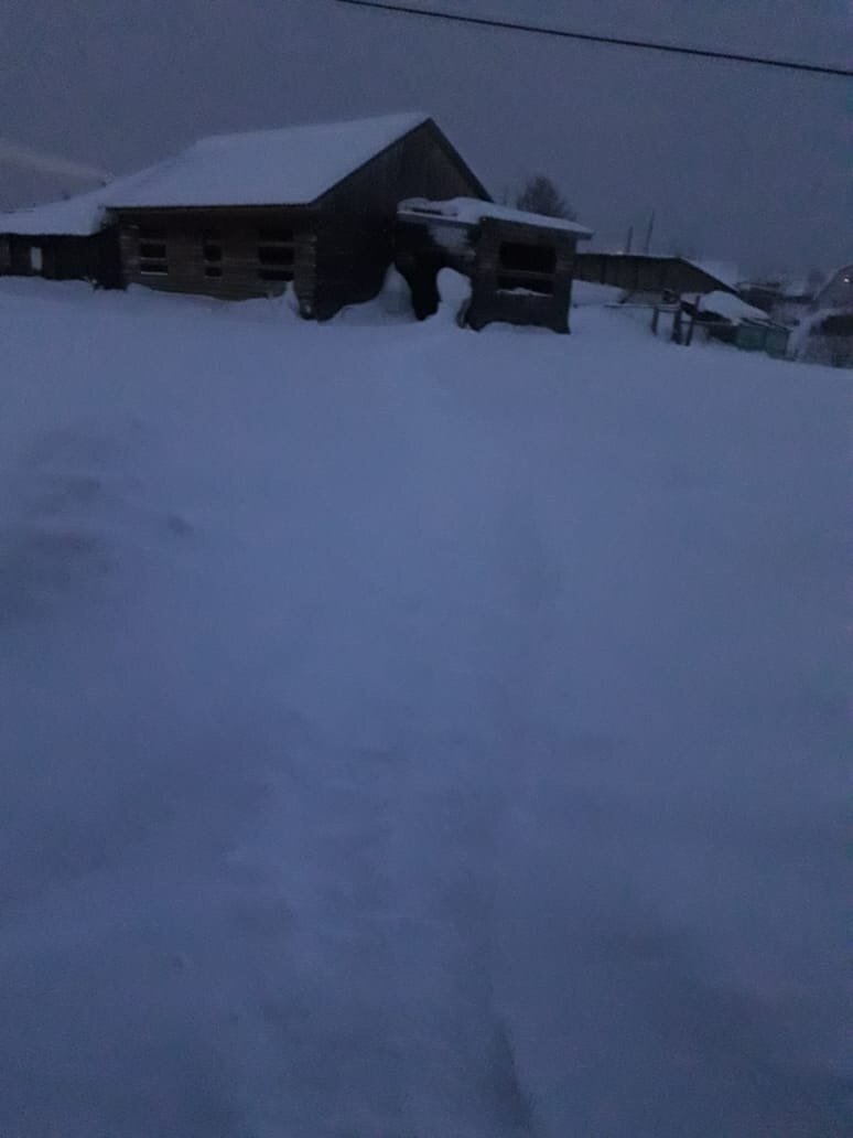 Хочется обратно на север🥰