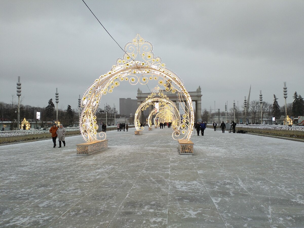 Парк вднх зимой