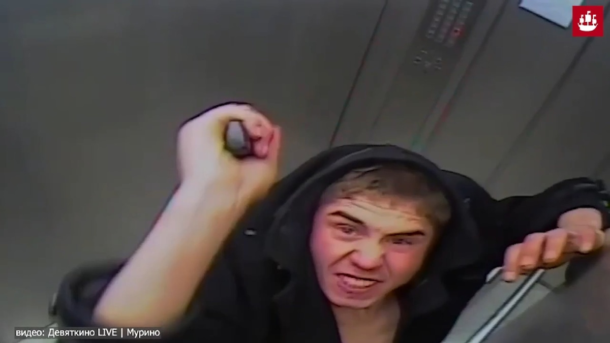 Мурино. Вандал с ножом.