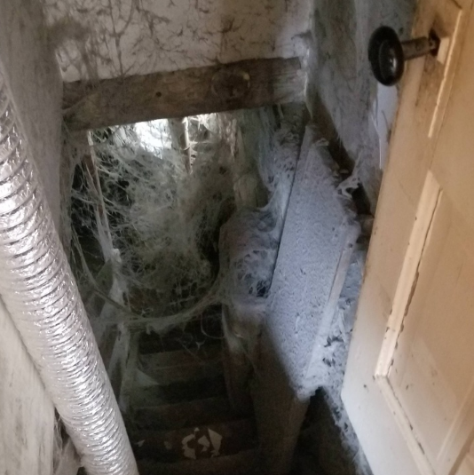 Вход в подвал наполненный паутиной  - фото из открытых источников