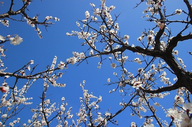 Открой свою жизнь заново