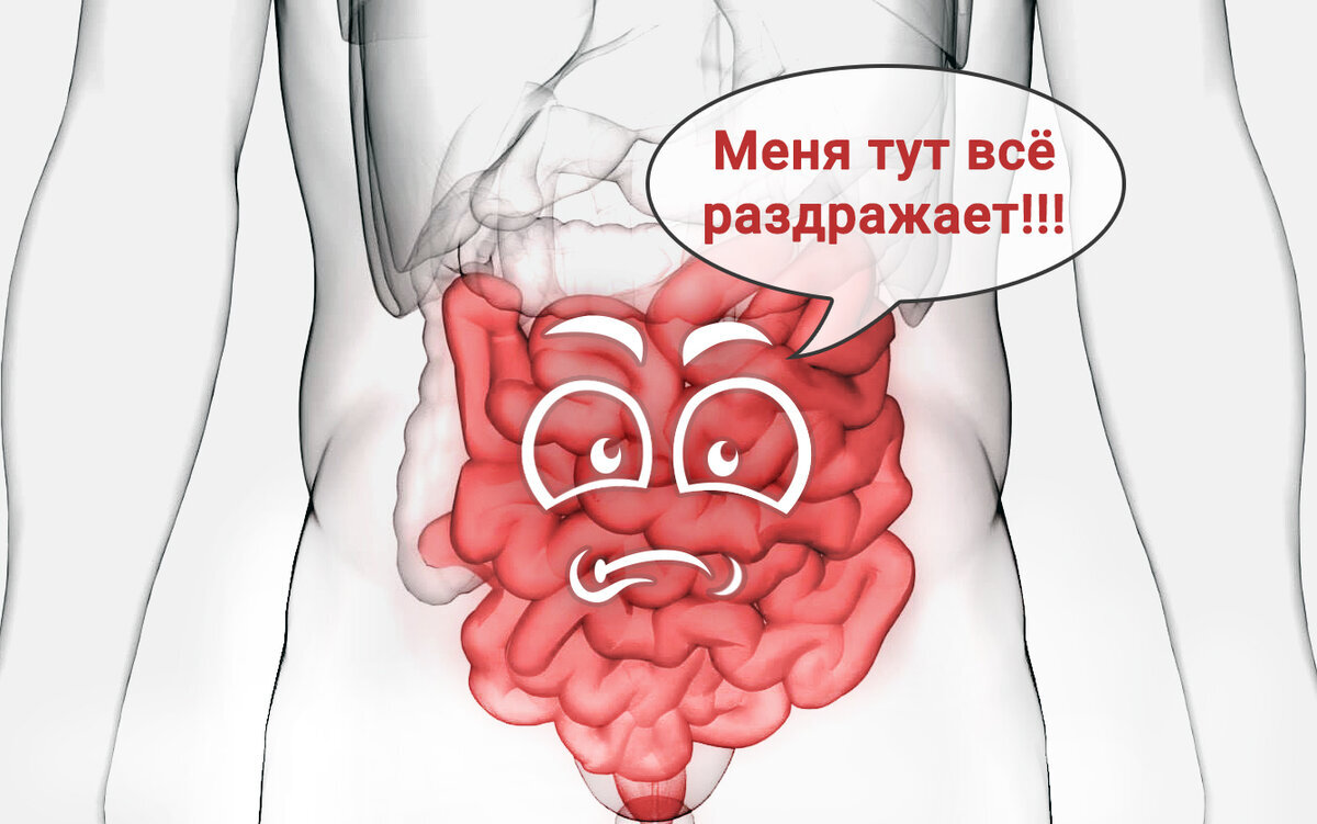 Стоит ли удивляться, что организм становится помойкой?