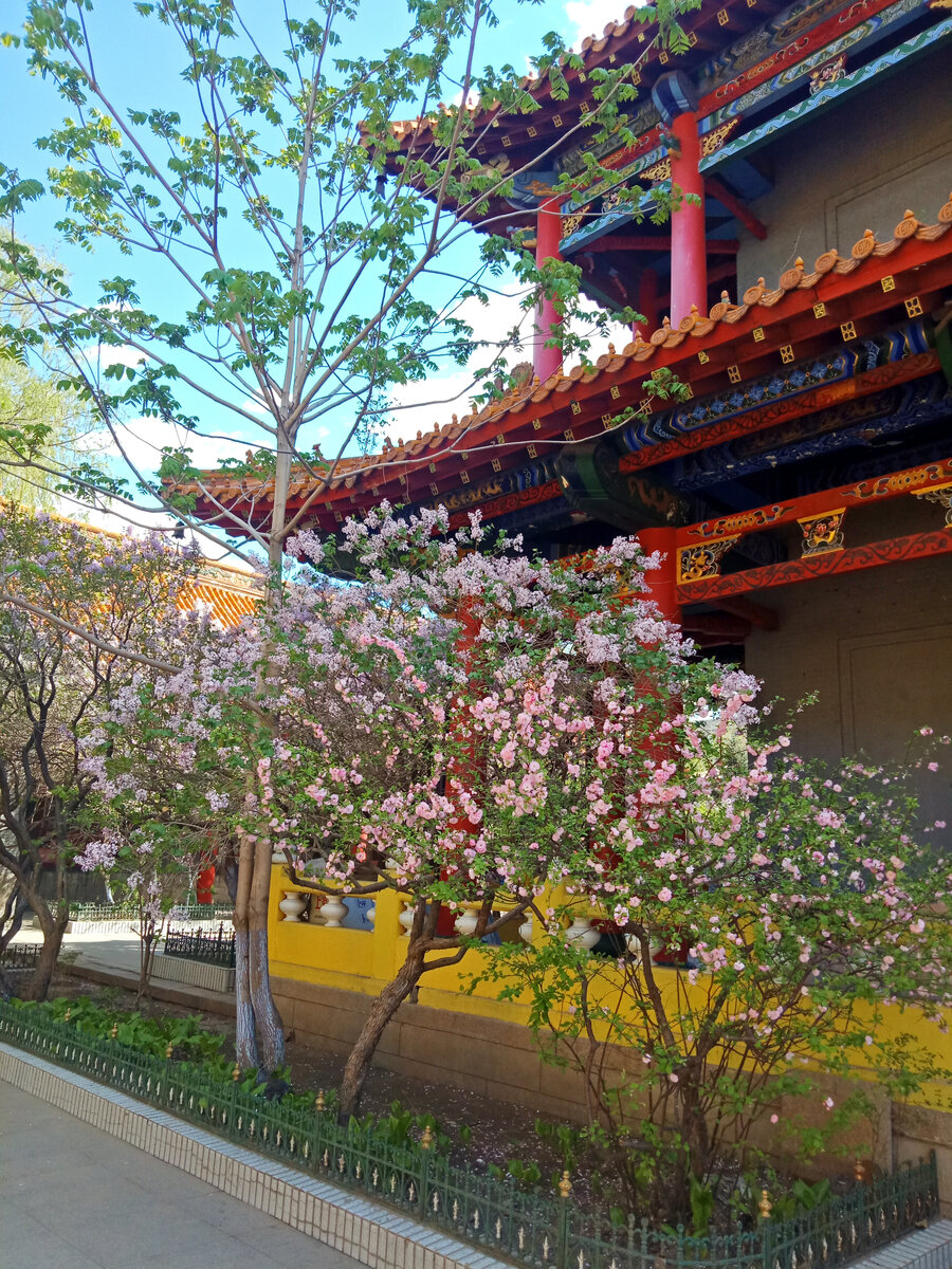 Парк Будды, Харбин