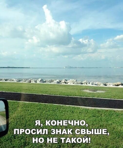 Фото взято из свободных источников интернета