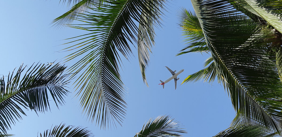 из личного архива